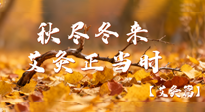 【健康/艾灸】秋盡冬來，艾灸正當(dāng)時(shí)——解鎖季節(jié)交替的養(yǎng)生密碼！